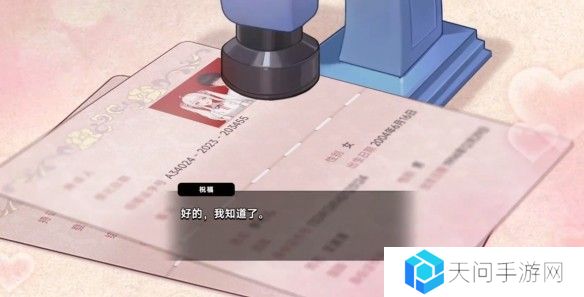中国式相亲妮可的主线剧情介绍   妮可结局攻略图片5