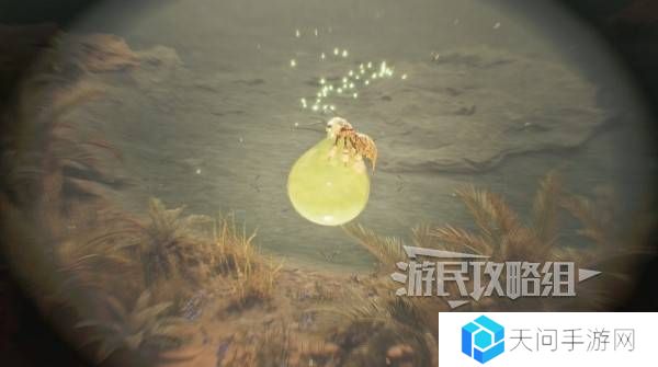 怪物猎人荒野大回复蜜虫位置在哪  大回复蜜虫捕获路线图片5